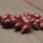 Цибуля сіянка Акадо 1 кг
