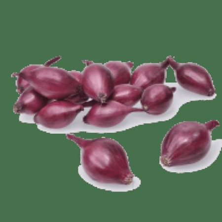 Цибуля сіянка Акадо 1 кг