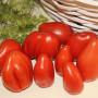 Семена Томат Гнедой жеребец 10 шт., СМ
