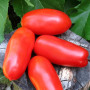 Семена Томат Красный кристалл 100 шт., СМ