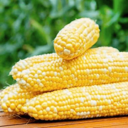 Насіння Кукурудза Сонце та зірки 20 г СМ