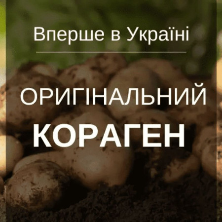 Инсектицид Кораген 1,2 мл/ 2 сот