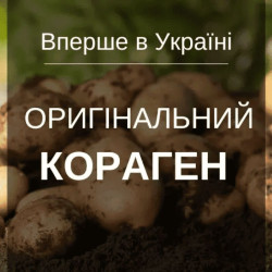 Инсектицид Кораген 6 мл/ 10 сот