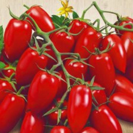 Семена Томат Детский сладкий 0,1г Семена Украины
