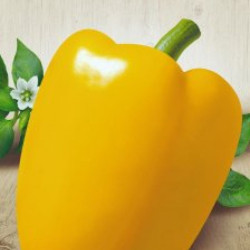 Семена Перец Сладкий Богдан 0,25 г Семена Украины