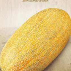 Семена Дыня АМАЛ 1г (Семена Украины)