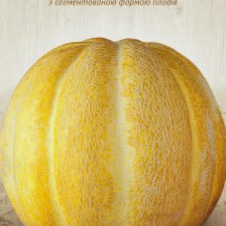 Семена Дыня ЭФИОПКА 2г (Семена Украины)