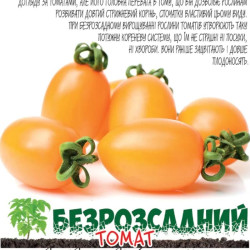 Семена Томат Рыжая Лиса 100 шт., СМ