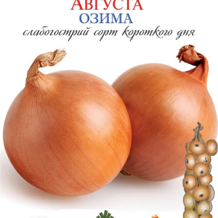 Семена Лук Репчатый Август 300 шт., СМ