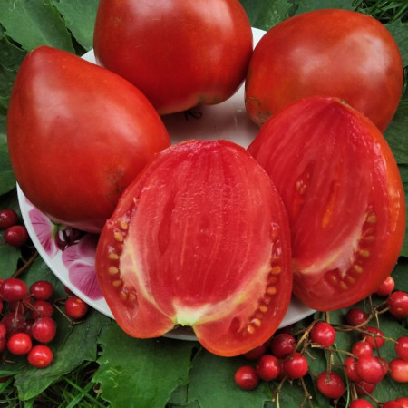 Семена Томат Алиса 100 шт., СМ