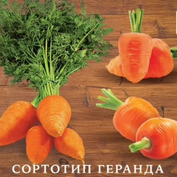 Семена Морковь Дюймовочка 1000 шт., СМ