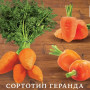 Семена Морковь Дюймовочка 1000 шт., СМ