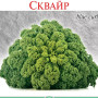 Семена Капуста Листовая Сквайр 150 шт., СМ
