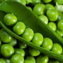 Семена Горох Сладкие Джунгли 50 г., СМ