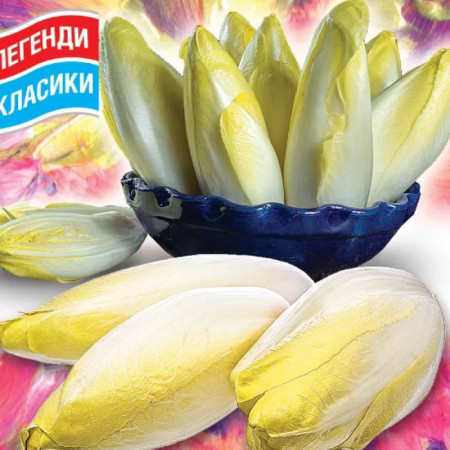 Семена Салат Цикорий Белое золото 500 шт СМ