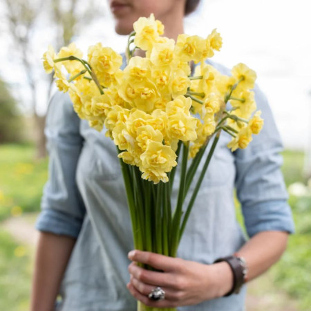 Нарцисс махровый букетный Yellow Cheerfulness 12/14