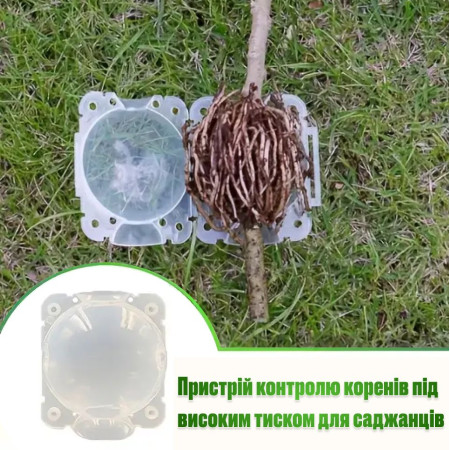 Многоразовый Шар для укоренения растений 50 мм прозрачная