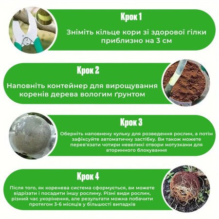 Багаторазова Куля для укорінення рослин 40 мм прозора