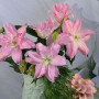 Лилия Махровая Roselily Editha 18/20