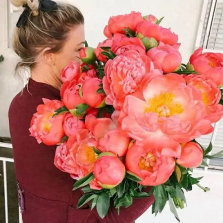 Пион Coral Charm 2/3