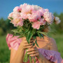 Пион Blushing Princess 3/5