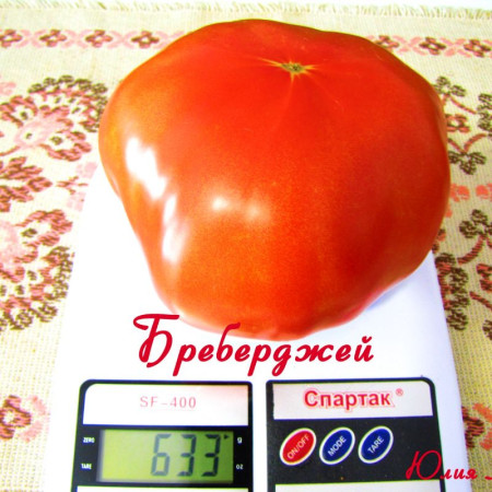 Семена Томат Бреберджей 15 шт (от коллекционера)