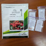 Семена Томат Яг 8810 F1 20 шт (Голландия) зип-пакет