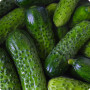 Семена Огурец Король грядки 0,5 г Урожай