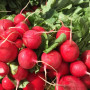 Семена Редис Жара 15 г ТМ Урожай