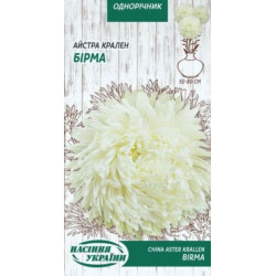Семена Цветы Астра Краллен Бирма 0,25 г Семена Украины