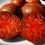 Семена Томат Гном Стринги/Полоски 15 шт (от коллекционера)