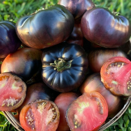 Семена Томат Черная Красавица 15 шт (от коллекционера)