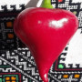 Семена Перец Сладкий Леся 15 шт (от коллекционера)