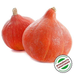 Семена Тыква Кэндисвит, 8 шт. СЦ