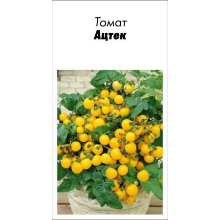 Семена Томат Ацтек 15 шт (от коллекционера)