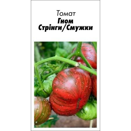 Семена Томат Гном Стринги/Полоски 15 шт (от коллекционера)
