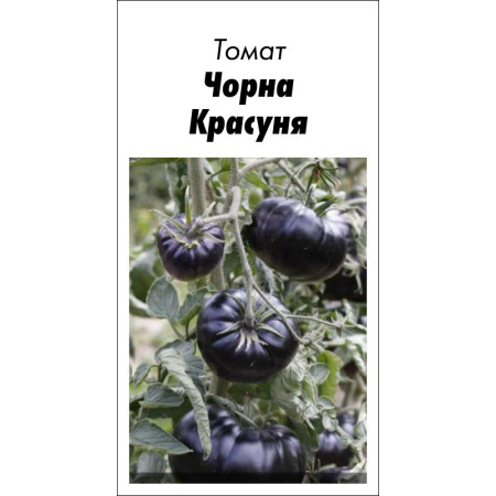 Семена Томат Черная Красавица 15 шт (от коллекционера)