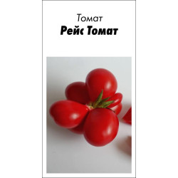 Семена Томат Рейс Томат 20 сем (от коллекционера)