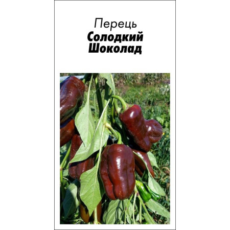 Семена Перец Сладкий Шоколад 15 сем. (от коллекционера)