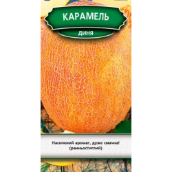 Семена Дыня Карамель 1г, ТМ Урожай