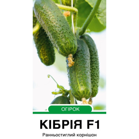 Семена Огурец Кибрия F1, 10шт зип-пакет (Голландия)