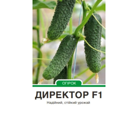 Семена Огурец Директор F1 10с, зип-пакет Голландия