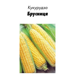 Семена Кукуруза Брусниця 20 г ТМ Урожай