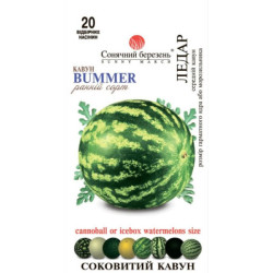 Семена Арбуз Лентяй 20 шт., СМ