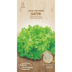 Семена Салат Листовой ЛАТУК 1г (Семена Украины)