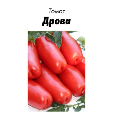 Семена Томат Дрова 15 шт (от коллекционера)