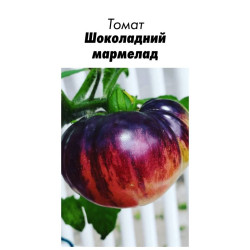 Семена Томат Шоколадный мармелад 15 шт (от коллекционера)