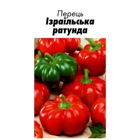 Семена Перец Сладкий Израильская ратунда 15 с (от коллекционера)