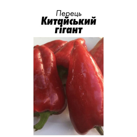 Семена Перец Сладкий Китайский гигант 15 с ( от коллекционера)