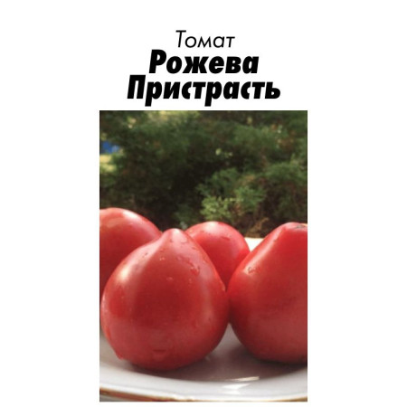 Семена Томат Гном Розовая Страсть 15 шт (от коллекционера)